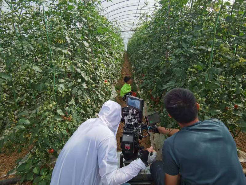 洛浦县产品宣传视频拍摄公司进阶指南，助力品牌抢占传播高地